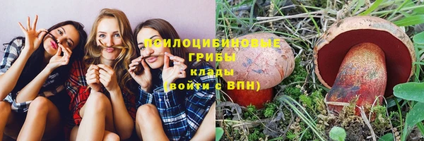 прущие крисы Володарск