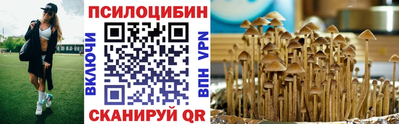 Галлюциногенные грибы Psilocybine cubensis Муром